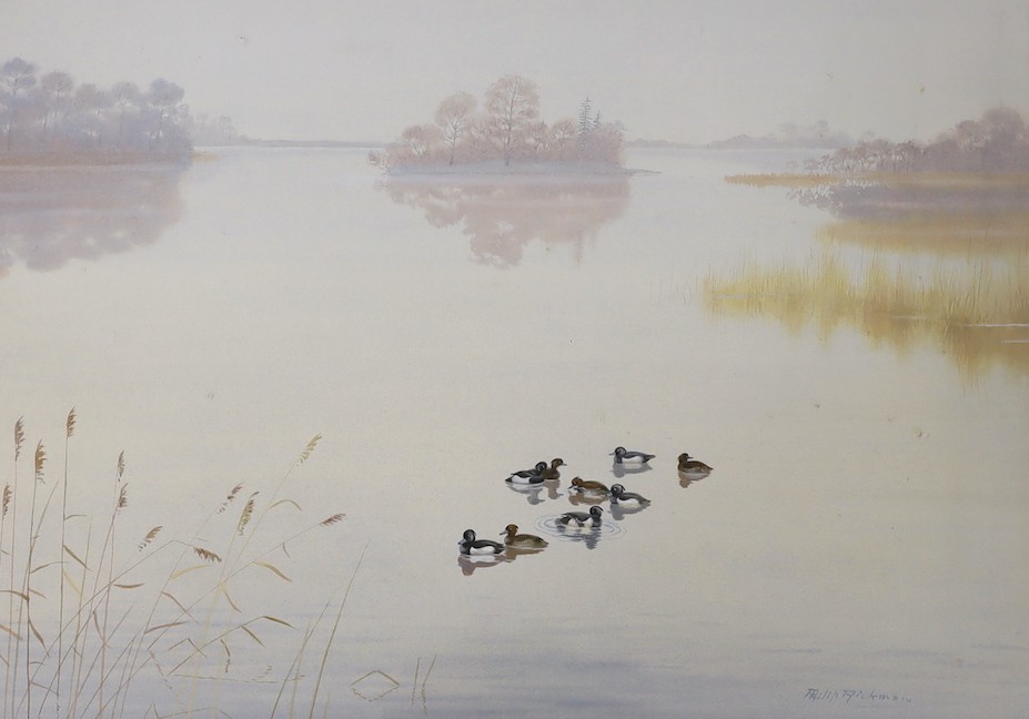 Philip Rickman (1891-1982), watercolour, Ducks upon a tranquil lake, signed, 36 x 52cm